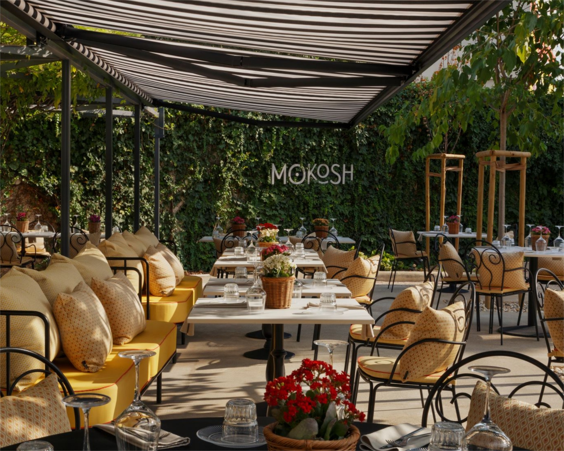 Mokosh