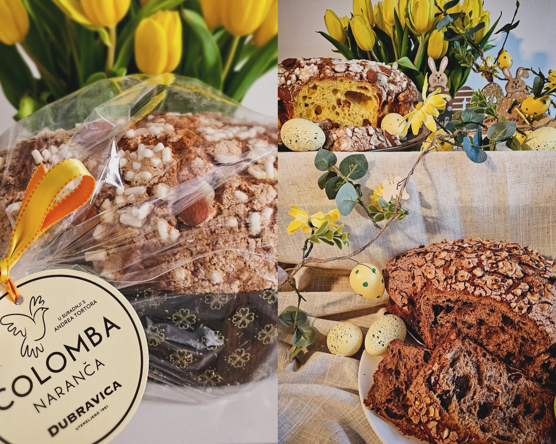 colomba_dubravica